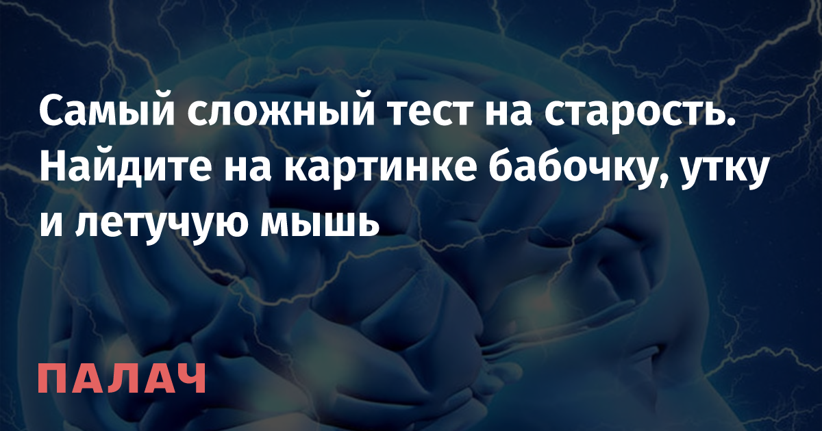 Найти бабочку утку и летучую мышь на картинке